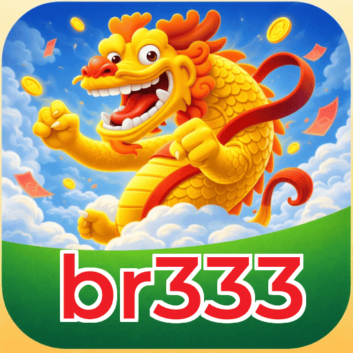 Métodos de pagamento aceitos na br333